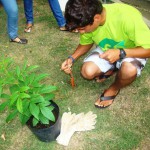 Projeto EcoAgentes está com inscrições abertas em Peruíbe