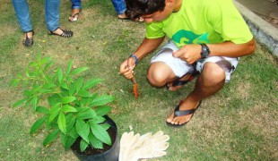 Projeto EcoAgentes está com inscrições abertas em Peruíbe