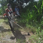 Prefeitura recolhe mais de 70 toneladas de materiais que poderiam servir de “criadouros” da dengue.