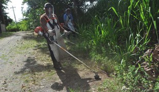 Prefeitura recolhe mais de 70 toneladas de materiais que poderiam servir de “criadouros” da dengue.