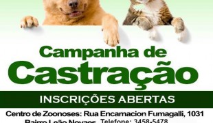 Zoonoses realiza cadastro para campanha de castração animal