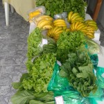 Produtores rurais de Peruíbe apresentam alimentos para merenda escolar