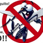 Prefeitura faz mutirão contra mosquito aedes aegypti, no sábado (19)