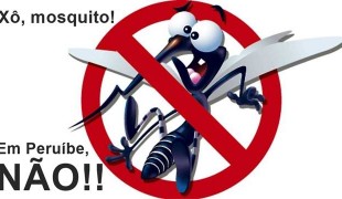 Prefeitura faz mutirão contra mosquito aedes aegypti, no sábado (19)