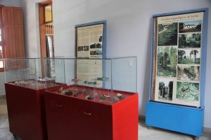 Museu Arqueológico de Peruíbe