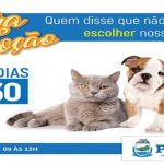 Participe você também da feira de adoção!