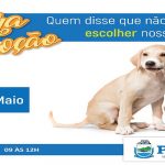 Feira de adoção