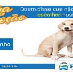 FEIRA DE ADOÇÃO