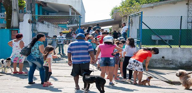 CAMPANHA DE VACINAÇÃO DE CÃES E GATOS CONTINUA