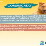Legislação Municipal, Lei N°3.460/2017