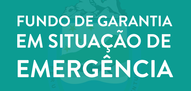 FUNDO DE GARANTIA EM SITUAÇÃO DE EMERGÊNCIA