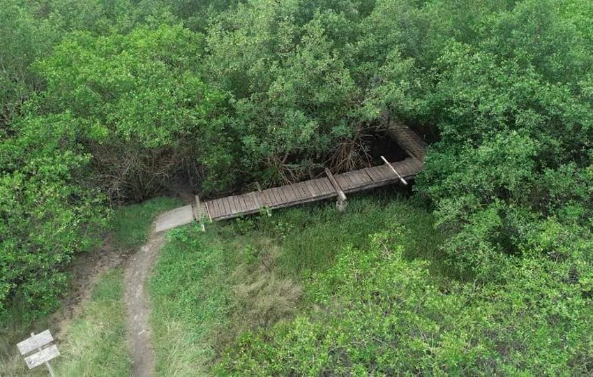 PASSARELA DO BALÇA INICIA REFORMA PARA ADEQUAÇÃO DOS MADEIRAMENTOS