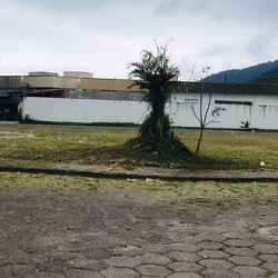 TRABALHO DE ZELADORIA ACONTECE NO JARDIM VENEZA