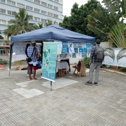 ENCERRAMENTO DO FESTIVAL DAS AVES COSTEIRAS ACONTECE EM PERUÍBE