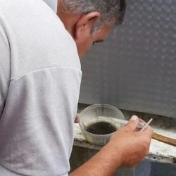 CONHEÇA OS CRIADOUROS INVISÍVEIS DO AEDES AEGYPTI