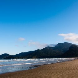 SEMANA DO MEIO AMBIENTE CONTEMPLA PROGRAMAÇÃO ESPECIAL NA CIDADE
