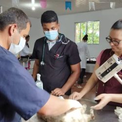 ZOONOSES REALIZA AÇÃO NA BARRA DO UNA
