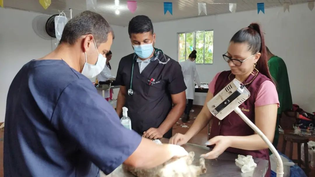 ZOONOSES REALIZA AÇÃO NA BARRA DO UNA