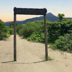 Plano de Manejo – Parque Natural da Restinga do Guaraú