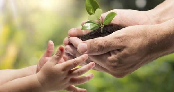 PARTICIPE DO PLANO MUNICIPAL DE EDUCAÇÃO AMBIENTAL