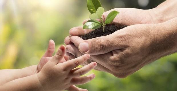 PARTICIPE DO PLANO MUNICIPAL DE EDUCAÇÃO AMBIENTAL
