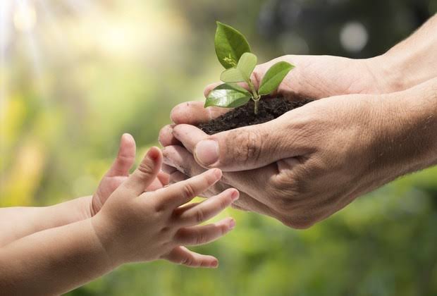 PARTICIPE DO PLANO MUNICIPAL DE EDUCAÇÃO AMBIENTAL