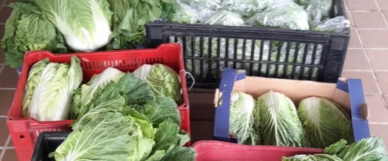 QUANDO A AGRICULTURA LOCAL ALIMENTA A ESPERANÇA